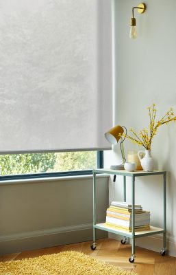 White Window Blinds