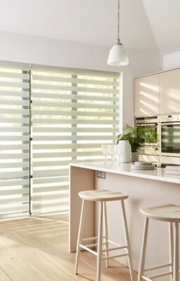 Roller Dual Shade Blinds